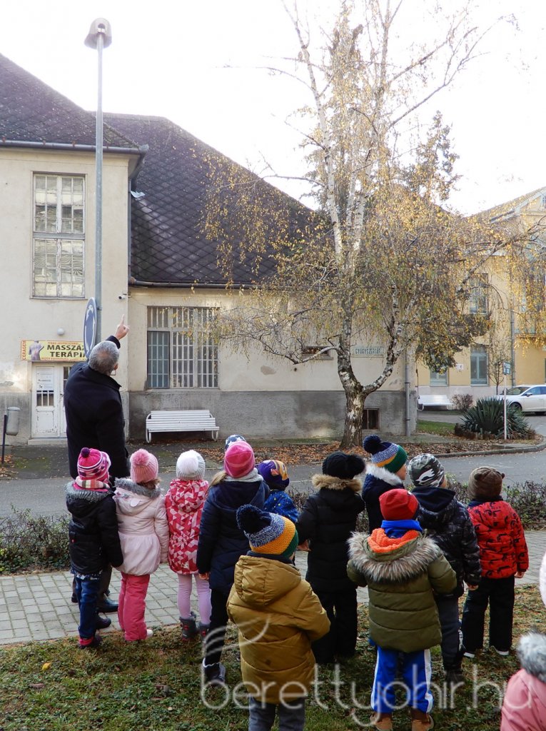 Fenyődíszítés a kórházban 18